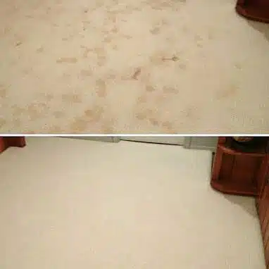 Carpet Cleaning Services