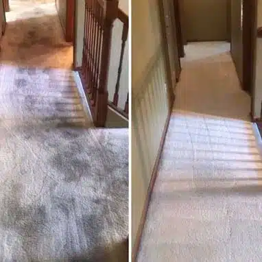 Carpet Cleaning Services