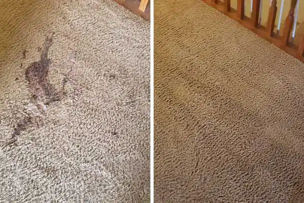 Carpet Cleaning in Belleville