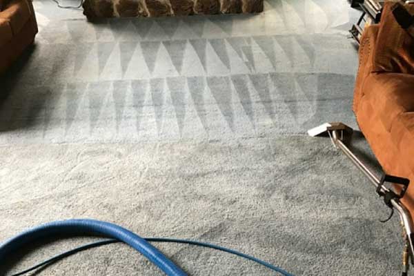 Carpet Cleaning in Fairview Heights