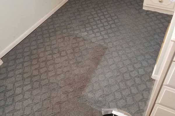 Carpet Cleaning in Fairview Heights