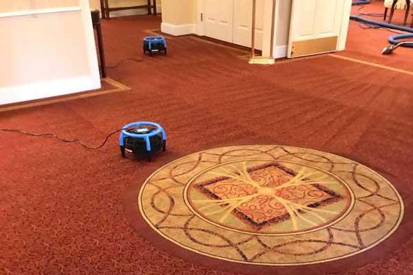 Carpet Cleaning in Shiloh
