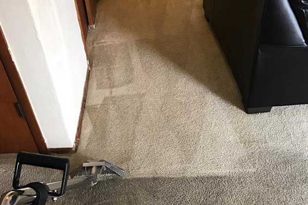 Carpet Cleaning in Shiloh