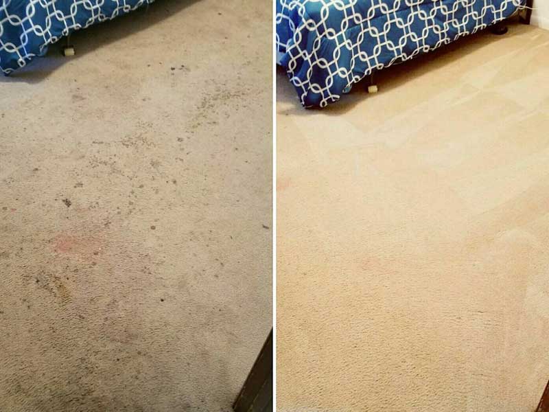Carpet Stain Removal