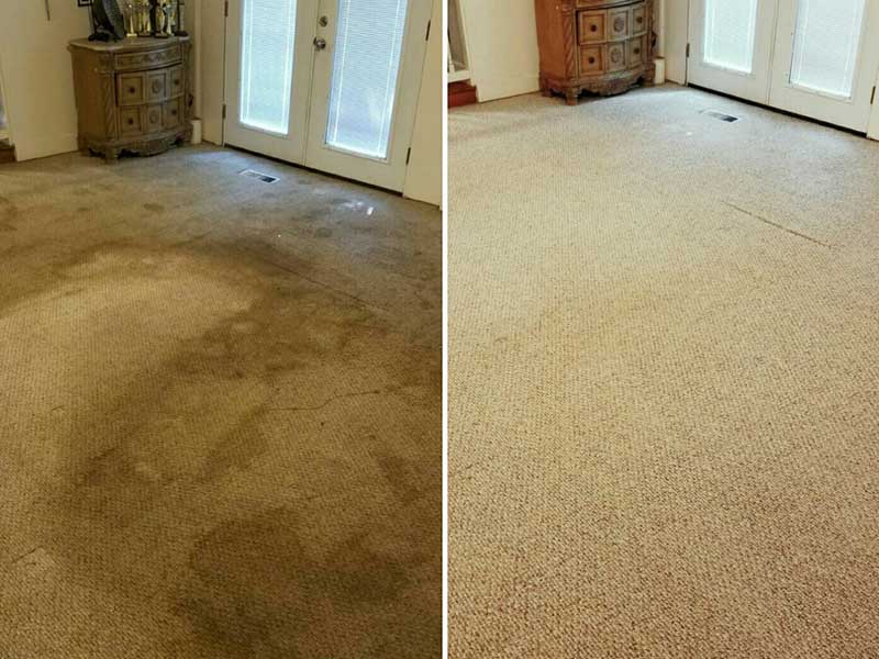 Carpet Stain Removal