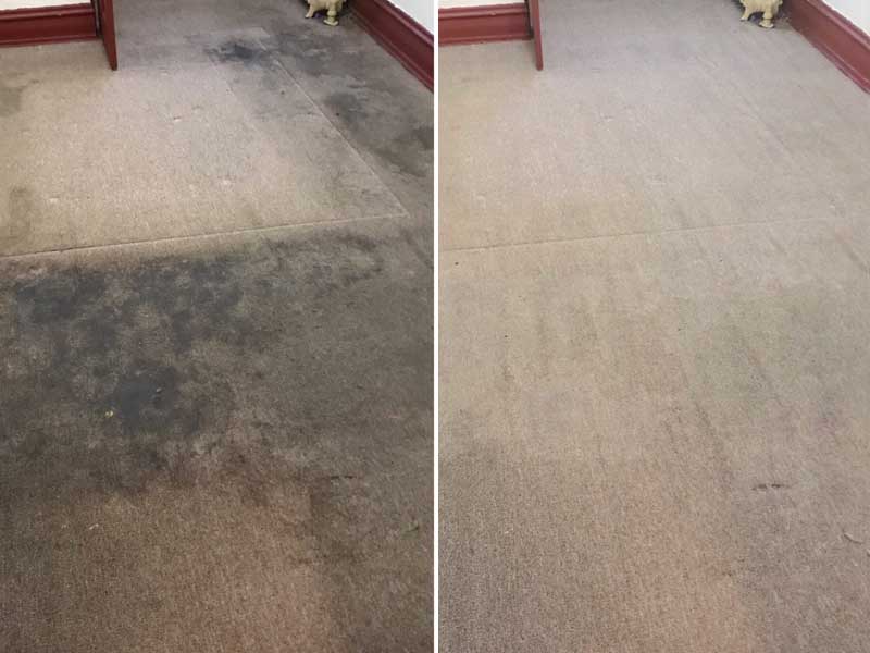 Commercial Carpet Cleaning