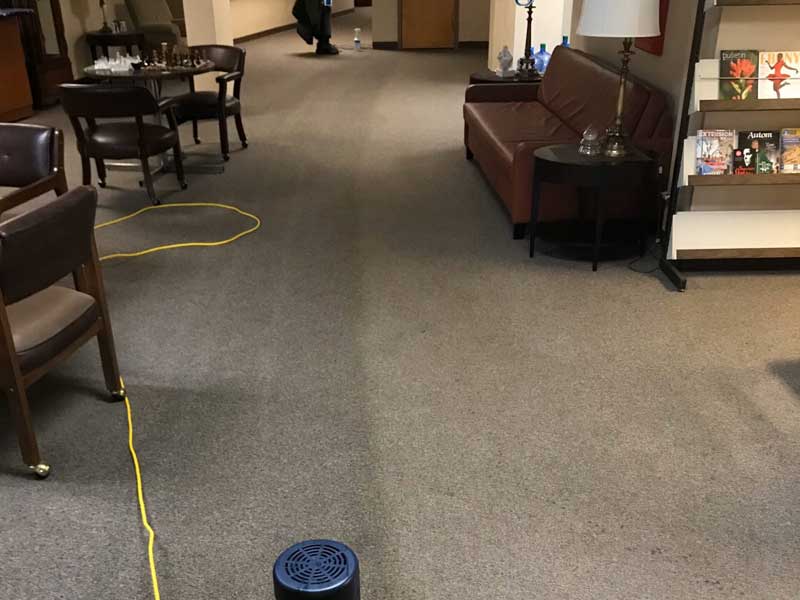 Commercial Carpet Cleaning