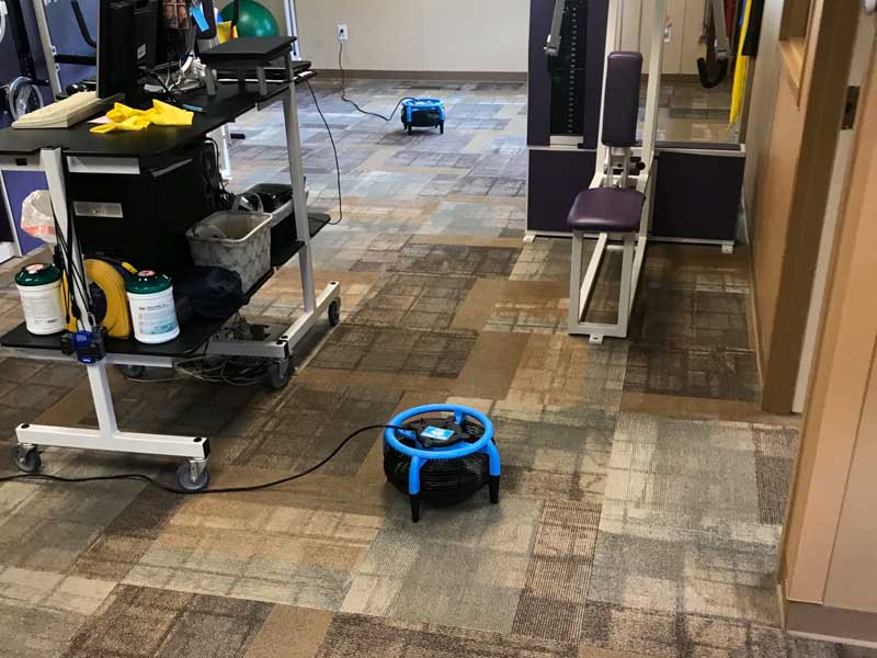 Commercial Carpet Cleaning