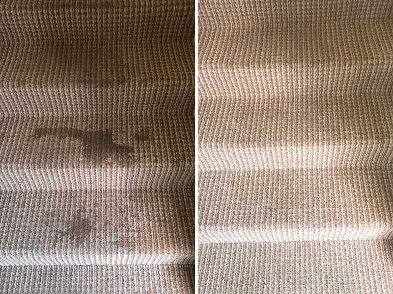 Commercial Carpet Cleaning