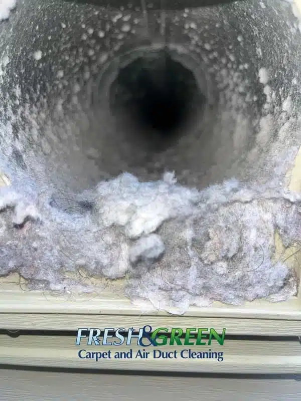 Dryer Vent Cleaning