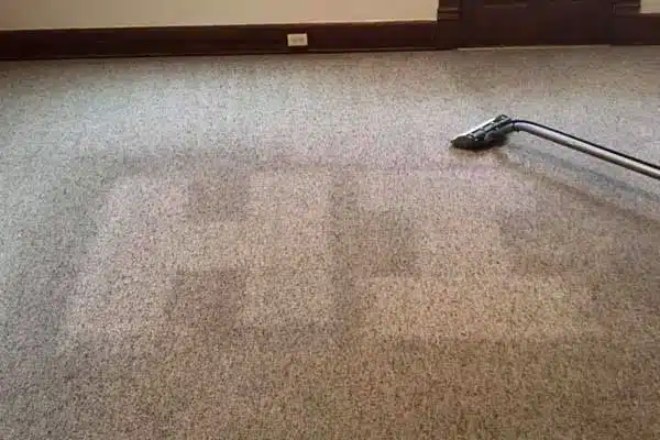 Carpet Cleaning Services in O'Fallon