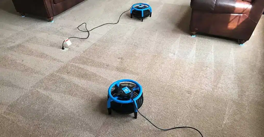 Fast-Drying & Long-Lasting Results